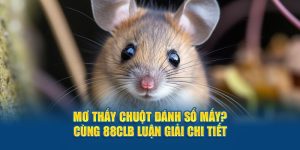 Mơ thấy chuột đánh số mấy