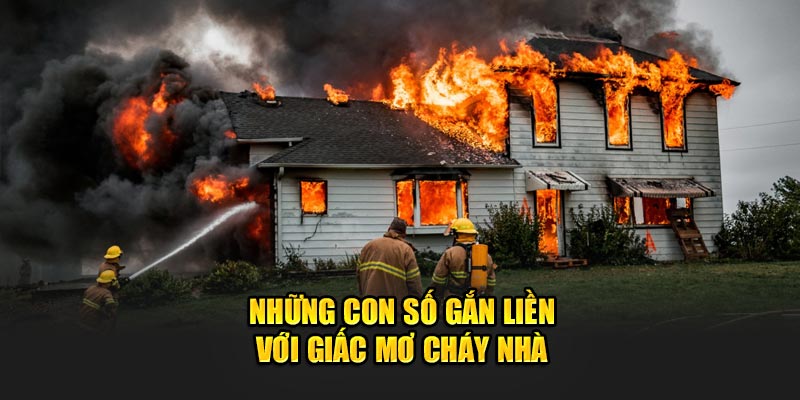 Con số gắn liền với chiêm bao